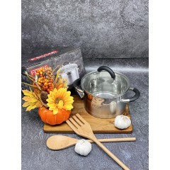 Кастрюля из нержавеющей стали с крышкой FESSLE диаметр 20 см (3.6 л)