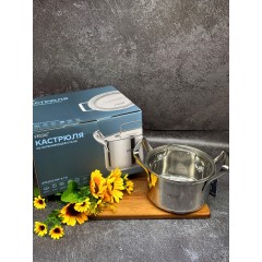 Кастрюля из нержавеющей стали с крышкой FESSLE диаметр 22 см (4.7 л)
