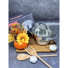 Кастрюля из нержавеющей стали с крышкой FESSLE диаметр 22 см (4.9л)